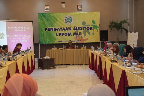 pengayaan-auditor