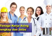 IMTA Dihilangkan, Pemerintah Harus Segera Siapkan Aturan Turunan Perpres Tenaga Kerja Asing