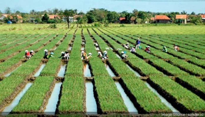Menyongsong Holding BUMN Pangan, Jokowi Teken 3 Beleid Merger