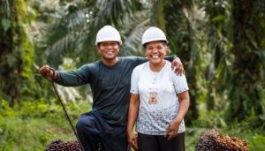 Kemenaker Upayakan Perlindungan Tenaga Kerja di Sektor Kelapa Sawit