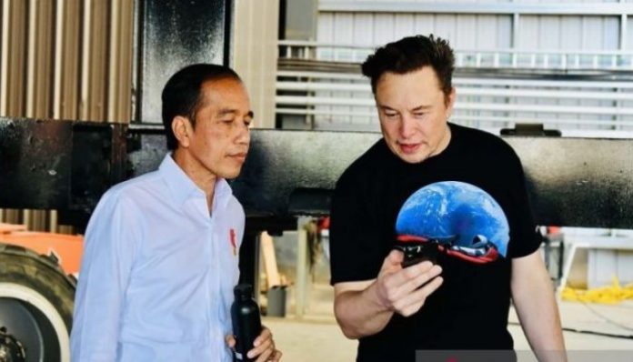 Benarkah Investasi Nikel Elon Musk Dapat Bahayakan Lingkungan Indonesia Benarkah Investasi Nikel Elon Musk Dapat Bahayakan Lingkungan Indonesia