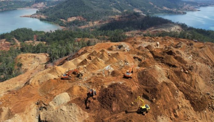 Menteri Investasi Kalah Kasasi Terkait Sengketa Izin Pinjam Pakai Hutan
