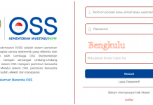 Pahami Tips Mengurus Perizinan Melalui OSS-RBA Sebelum Ajukan Izin Usaha