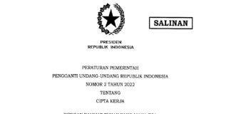 Mengenal Instrumen Perppu dalam Tatanan Hukum di Indonesia