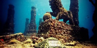 Wow! Jokowi Bolehkan Pelaku Usaha Angkut Harta Karun Bawah Laut