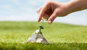 Green sukuk: Instrumen Investasi Ramah Lingkungan?