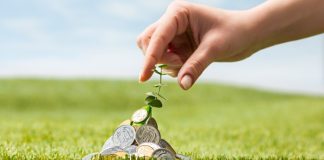 Green sukuk: Instrumen Investasi Ramah Lingkungan?