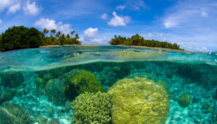 Sumber_NDC_Partnership Blue Carbon: Potensi Perdagangan Karbon Indonesia