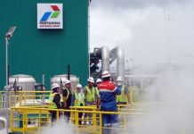 Pertamina Geothermal IPO, Simak Risiko Investasi Panas Bumi