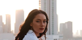 Penyebar Film Aktris Erika Carlina Terancam Penjara, Ini Sebabnya