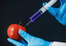 Enggan Disahkan, Ini Urgensi UU Sumber Daya Genetika