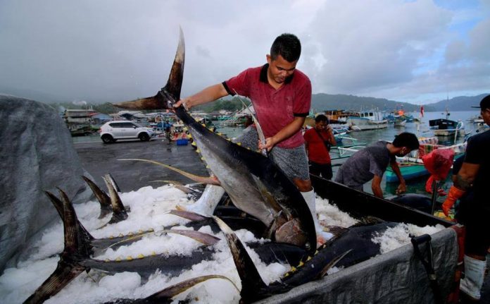 Pemerintah Terbitkan Regulasi Penangkapan Ikan Terukur, Apa Itu? Pemerintah Terbitkan Regulasi Penangkapan Ikan Terukur, Apa Itu?