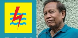 Tarzan Srimulat Didenda PLN, Kenali Bentuk Pelanggaran Listrik