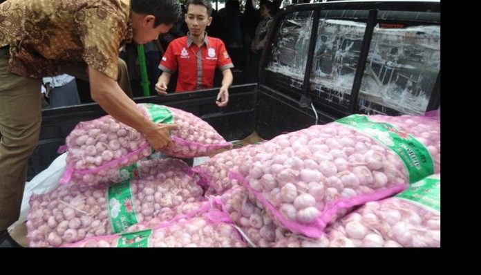Tak Kunjung Terbit, Pengusaha Mengeluh Izin Impor Bawang Sulit Tak Kunjung Terbit, Pengusaha Mengeluh Izin Impor Bawang Sulit