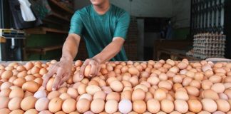 Harga Telur Melonjak, KPPU Ingatkan Pedagang Jangan Timbun