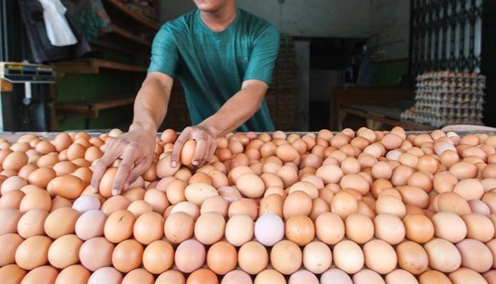 Harga Telur Melonjak, KPPU Ingatkan Pedagang Jangan Timbun Harga Telur Melonjak, KPPU Ingatkan Pedagang Jangan Timbun