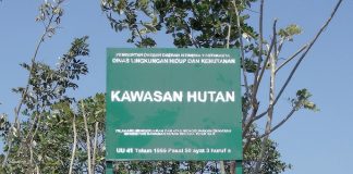 3 BUMN Masuk List Usaha Tak Berizin, KLHK Siap Beri Sanksi