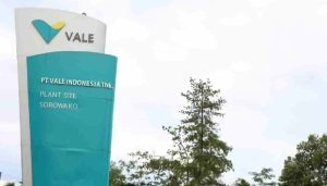 Divestasi Saham PT Vale, Ada Kepemilikan Saham Mencurigakan?