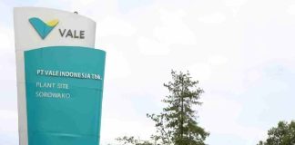 Divestasi Saham PT Vale, Ada Kepemilikan Saham Mencurigakan?