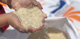 Perkuat Instrumen Ketahanan Pangan, Bapanas Terbitkan Beleid PPH