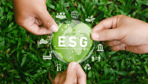 Mau Berhasil Menerapkan ESG dalam Bisnis? Ini Tipsnya!