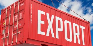 Izin Ekspor Freeport Tak Kunjung Terbit, Terpaksa Setop Operasi?