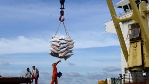 Waspada! El Nino Mulai Landa RI, Harga Beras Merangkak Naik