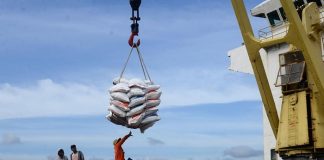 Waspada! El Nino Mulai Landa RI, Harga Beras Merangkak Naik