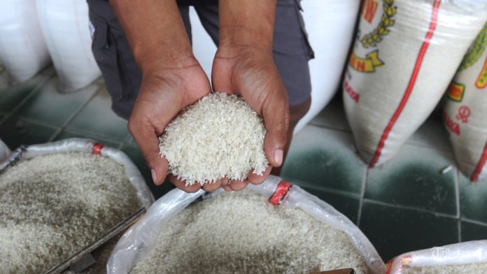 Terkuak Modus Beras Oplosan, Pentingnya Due Diligence dan Quality Control yang Ketat Terkuak Modus Beras Oplosan, Pentingnya Due Diligence dan Quality Control yang Ketat
