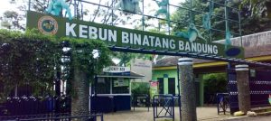Kebun Binatang Bandung Ditutup Sementara! Akhir Dualisme atau Awal Babak Baru?