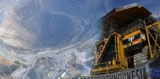 Divestasi Freeport: Strategi Corporate Action dan Implikasinya bagi Investasi Asing di Indonesia