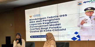 Kepatuhan Pelaporan LKPM yang Timpang Dengan Realita OSS