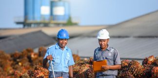 Sengketa Bisnis Sawit Kerap Berawal dari Lemahnya Dokumentasi Kontrak