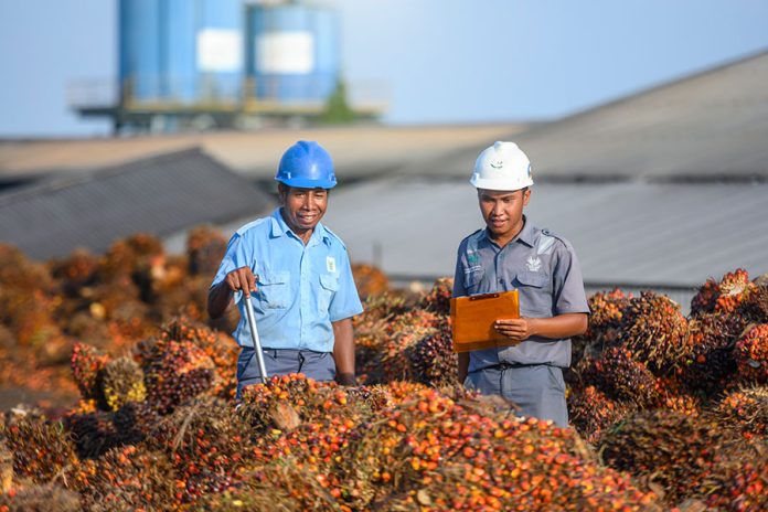 Sengketa Bisnis Sawit Kerap Berawal dari Lemahnya Dokumentasi Kontrak Sengketa Bisnis Sawit Kerap Berawal dari Lemahnya Dokumentasi Kontrak