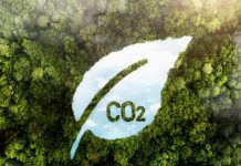 Permenhut No. 6 Tahun 2026 Batasi Perdagangan Karbon Kehutanan Hanya Melalui SPE GRK & Non-SPE GRK Permenhut No. 6 Tahun 2026 Batasi Perdagangan Karbon Kehutanan Hanya Melalui SPE GRK & Non-SPE GRK