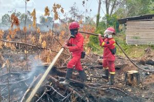 Buntut Karhutla, Warga Kalbar Seret Presiden Prabowo Lewat Class Action
