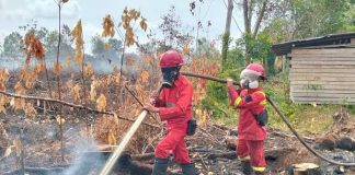 Buntut Karhutla, Warga Kalbar Seret Presiden Prabowo Lewat Class Action