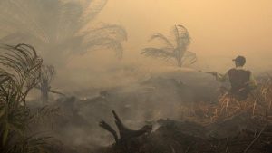 19 Perusahaan Disorot Karhutla, Izin Lingkungan Dipertanyakan